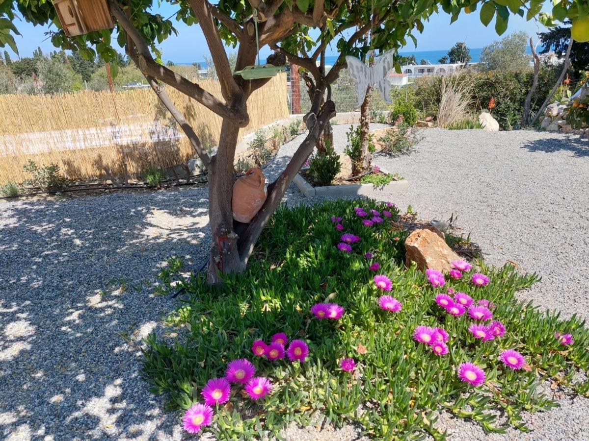 Ktima Natura Αρχάγγελος Εξωτερικό φωτογραφία